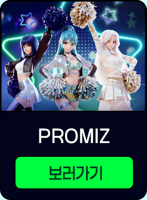 PROMIZ 보러가기